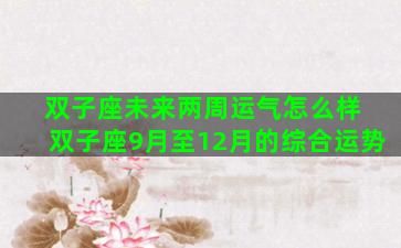 双子座未来两周运气怎么样 双子座9月至12月的综合运势